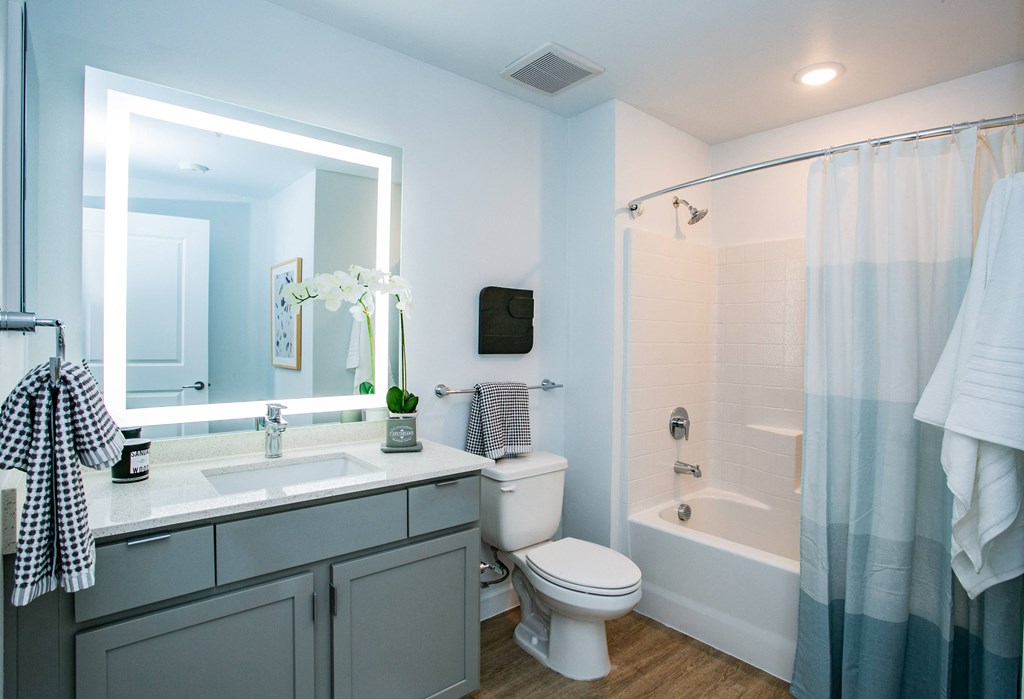 a bathroom with a mirror and a toilet and a shower