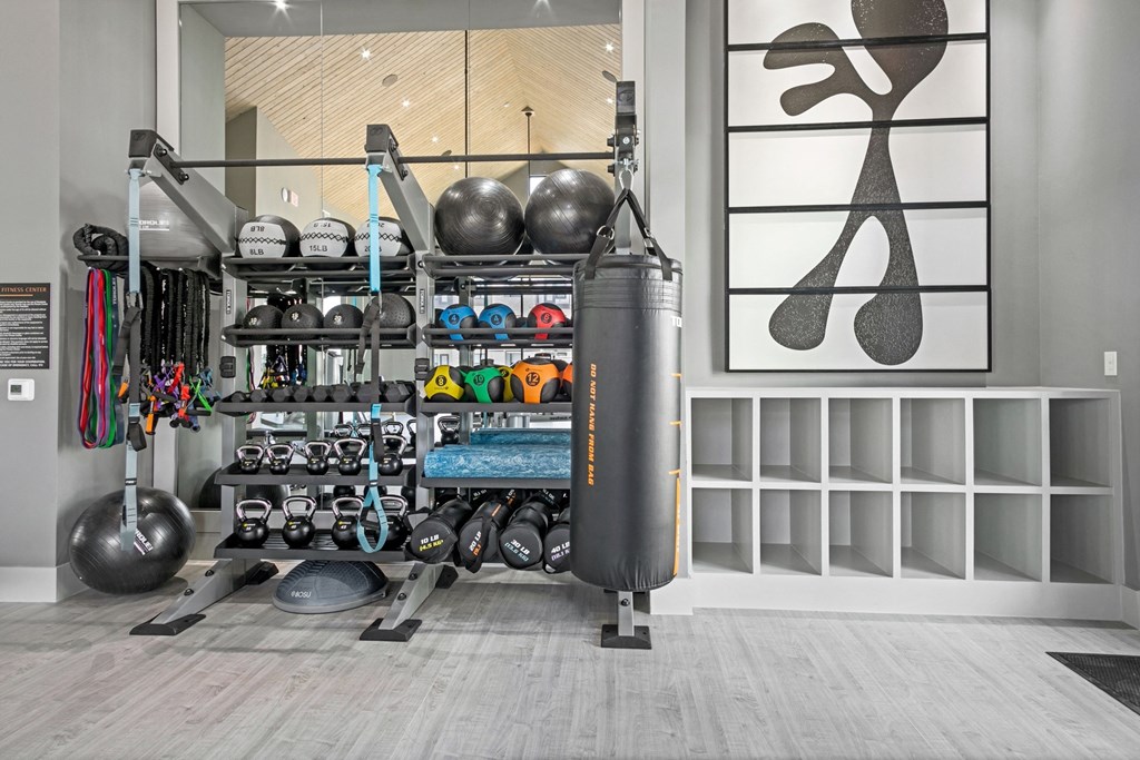 the home gym has plenty of equipment and shelving on the wall