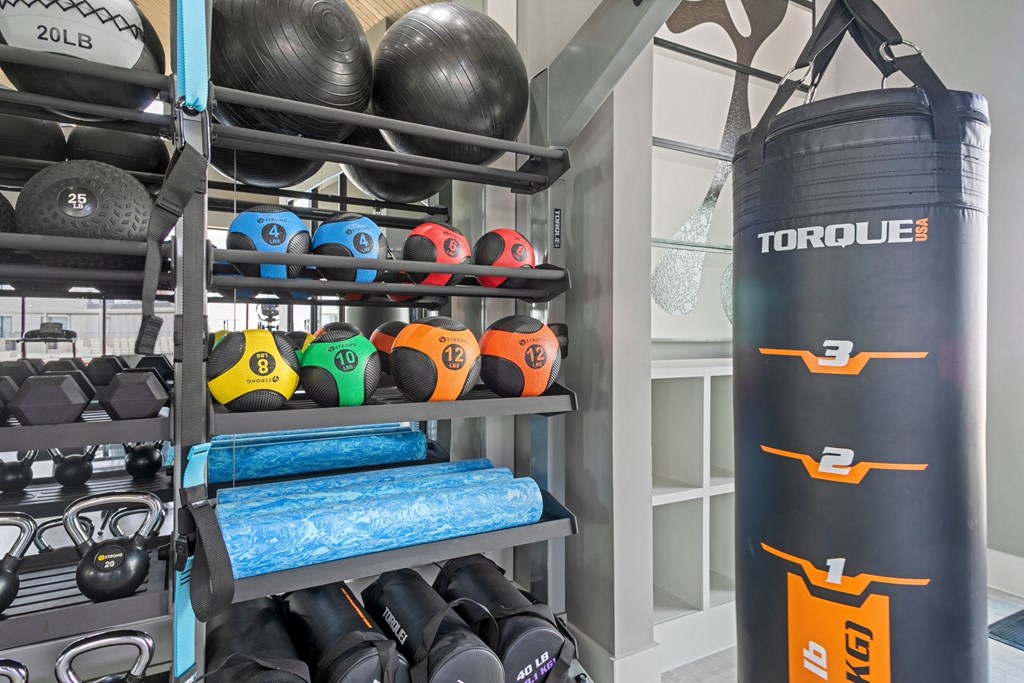 a fitness room with weights and a punching bag