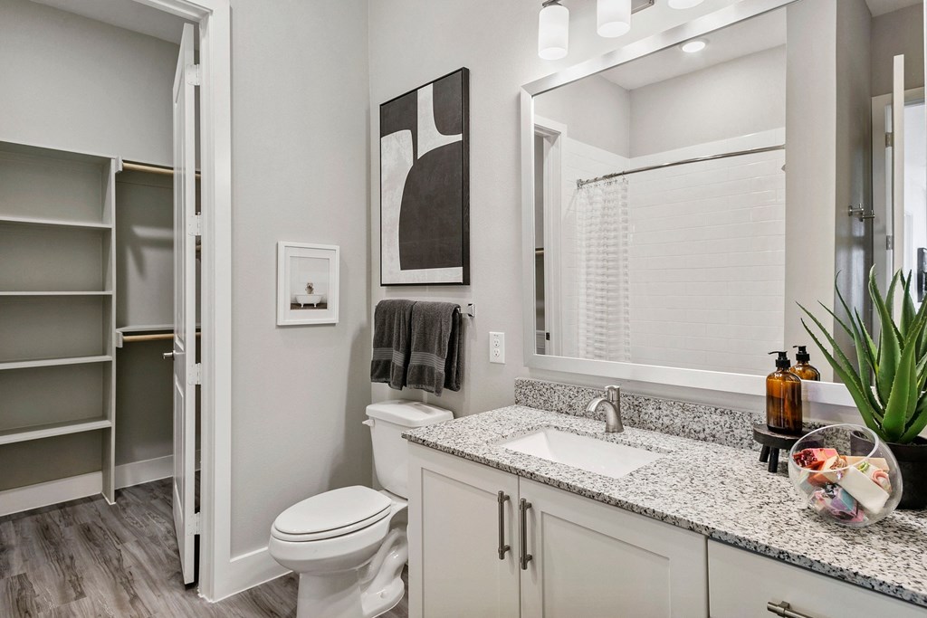 a bathroom with a toilet and a sink and a mirror