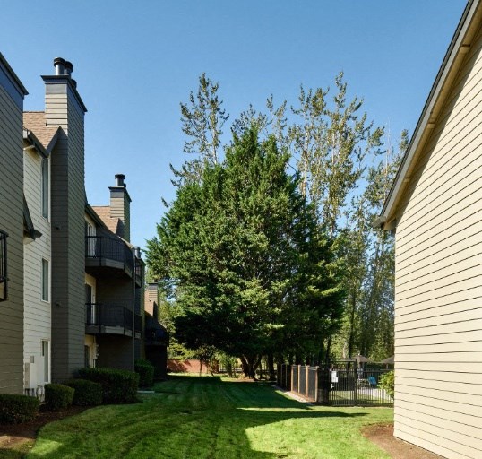 a grassy path between two apartment buildings with trees in the background