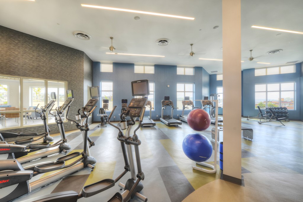 A gym with treadmills, exercise balls, and a large mirror.