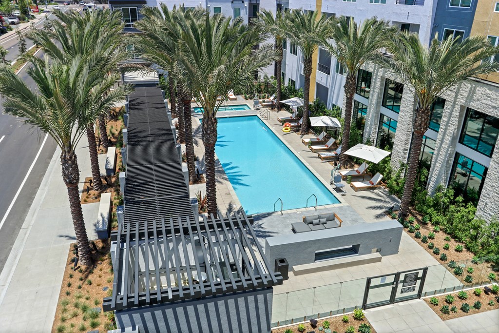 Aerial view of a swimming pool with palm trees at Array La Mesa, California