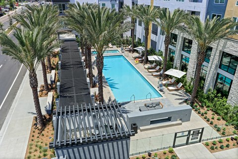 Aerial view of a swimming pool with palm trees at Array La Mesa, California