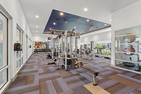 Studio Apartments in Sacramento, CA - The Eisley - Fitness Center with Weight Machines, Free Weights, and Treadmills