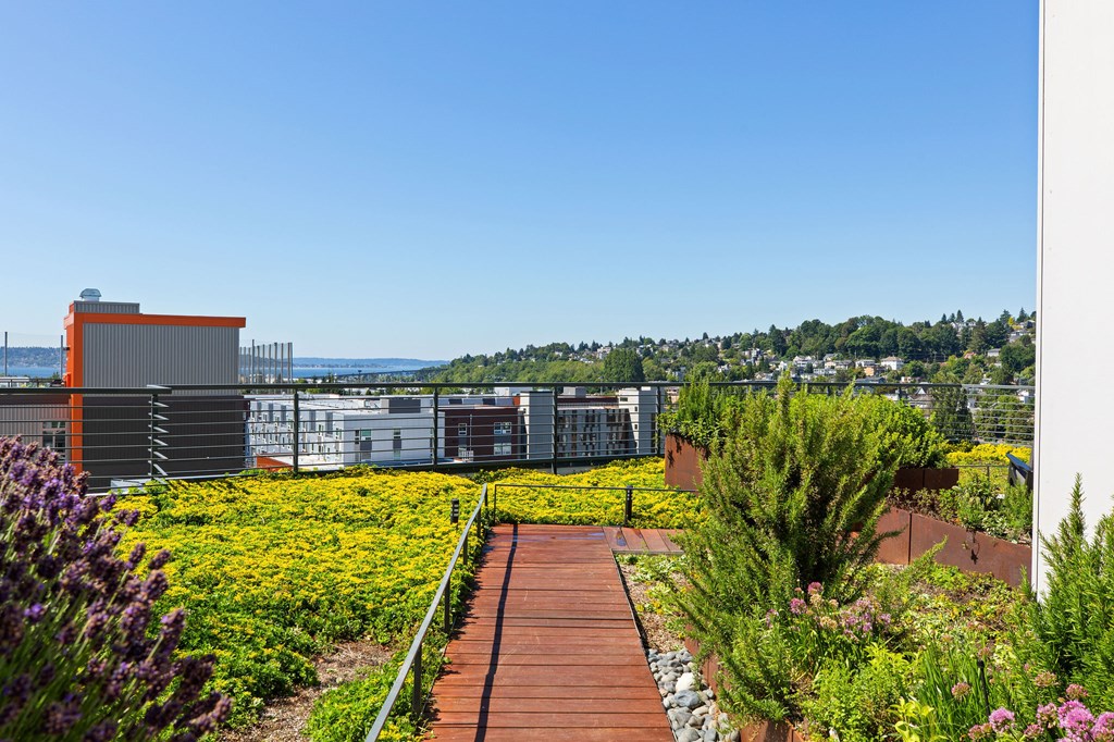 A garden with a wooden walkway and a variety of plants.