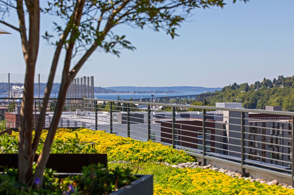 A tree with a bench in front of a metal fence with a view of a bridge and buildings in the background.