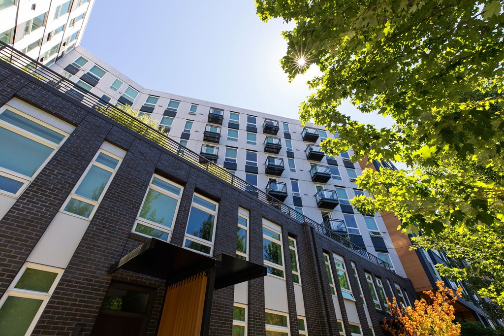 A modern building with a green tree in front.