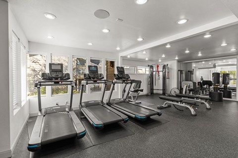 A gym with treadmills, elliptical machines, and other exercise equipment.
