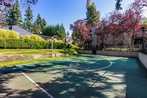 A basketball court is surrounded by trees and houses.