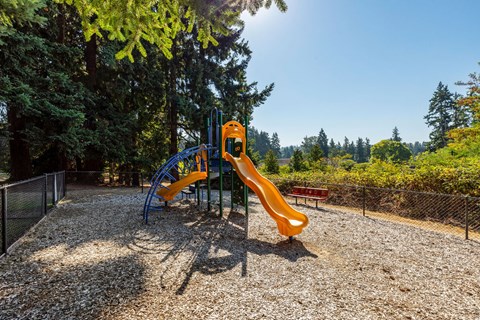 A playground with a yellow slide and a blue structure.