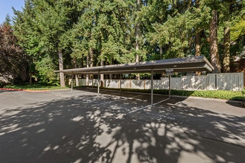 A parking lot with a covered area and trees in the background.