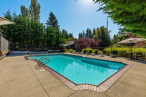 A small rectangular pool with a brown border.