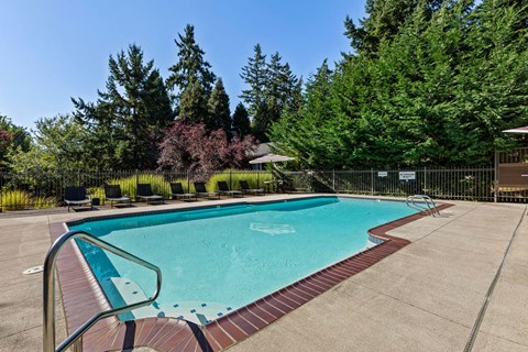 A small pool surrounded by a fence and trees.
