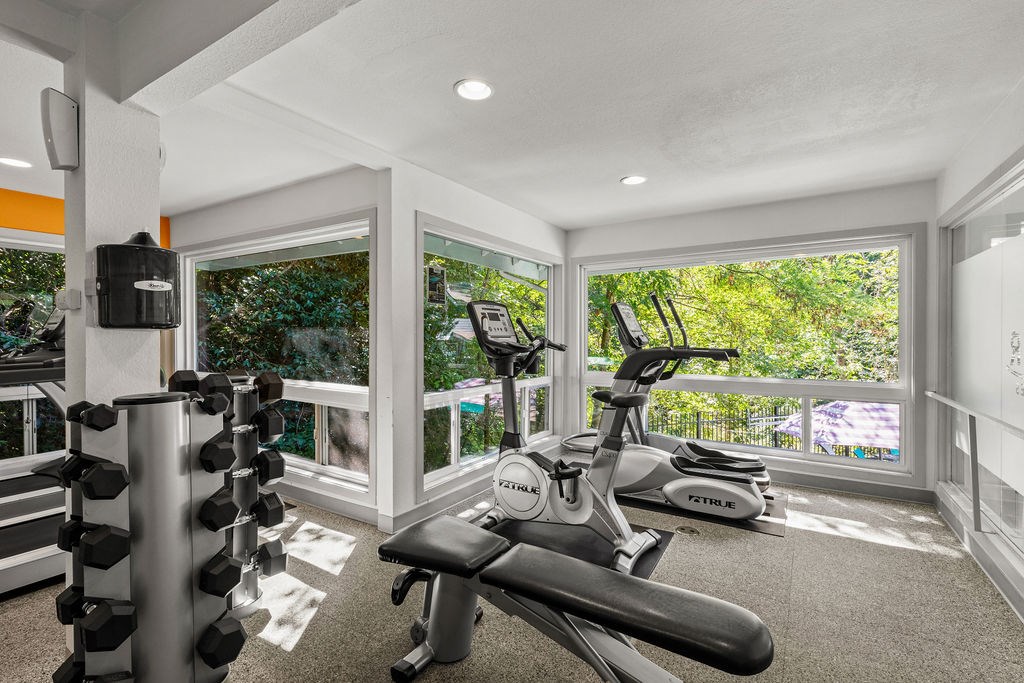 A home gym with a treadmill, weights, and exercise equipment.