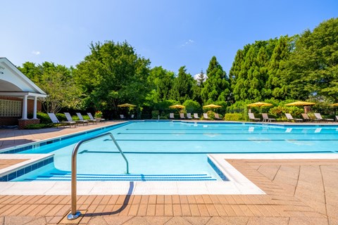 Custom-Designed Swimming Pool