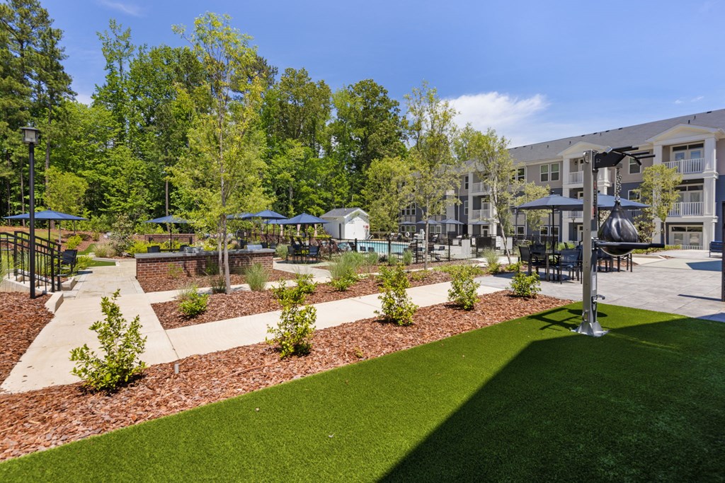 A sunny day at a park with a grassy area and trees.