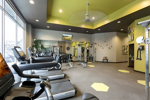 A gym with treadmills, weights, and exercise equipment.