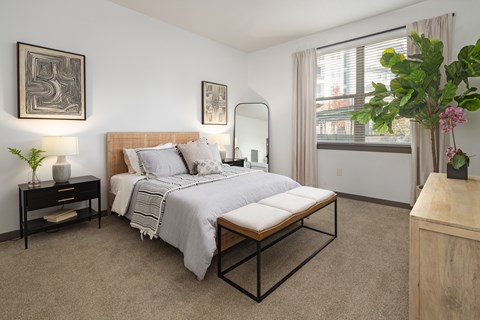 A bedroom with a bed, nightstand, and a plant.