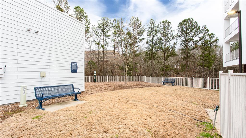 a park with two benches and trees in the background
