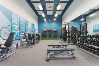 A gym with a variety of equipment including weights and cardio machines.