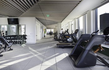 gym - Photo Gallery 15