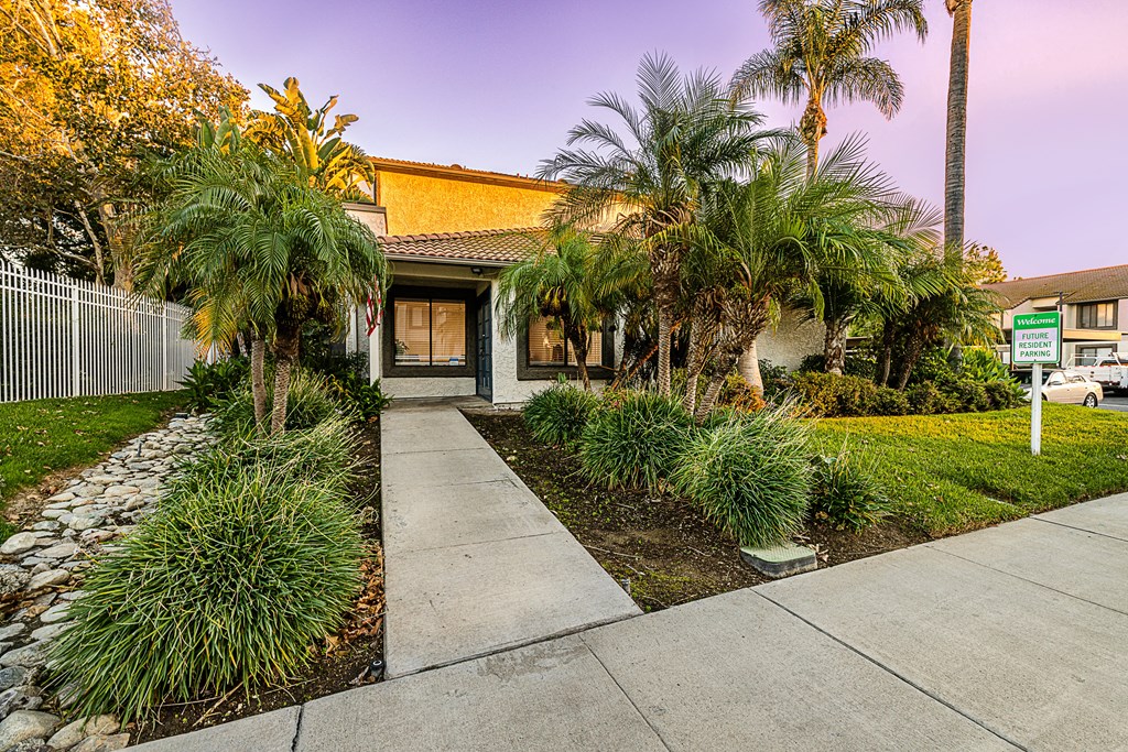 a house with palm trees and a sidewalk in front of it