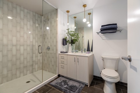 A bathroom with a toilet, a shower with a glass door, and a cabinet with a mirror above it.