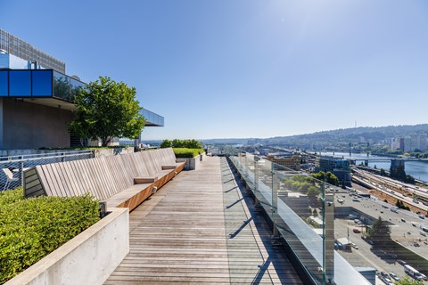 A wooden walkway with a railing and a tree in the distance.