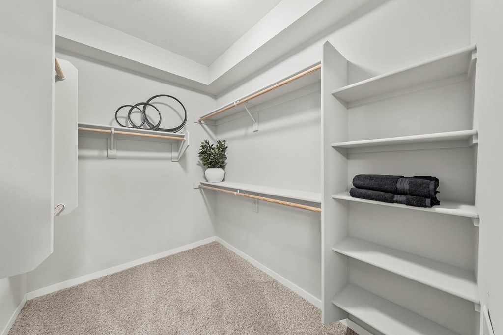 A white closet with shelves and a plant on the shelf.
