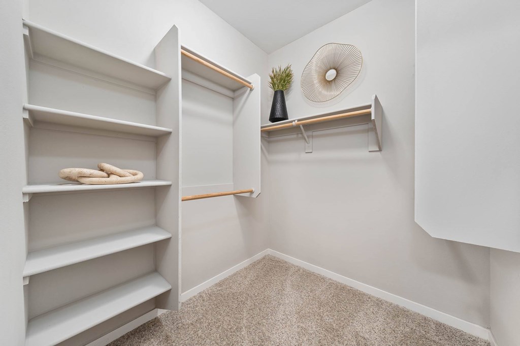 A white closet with shelves and a plant on top.
