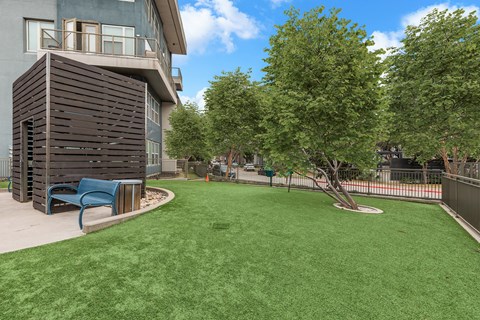 A small tree is in a grassy area in front of a building.