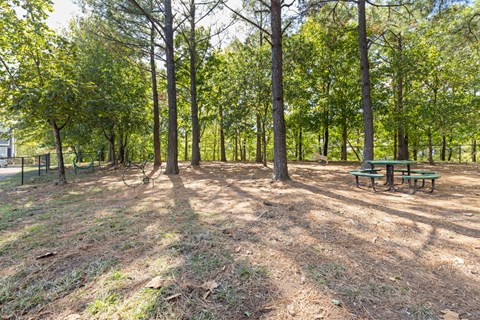 Picnic at The Lex at Brier Creek, Morrisville