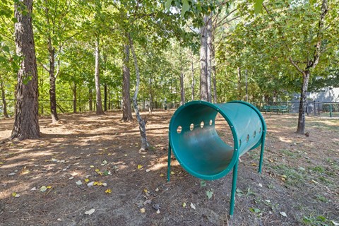 Pet park at The Lex at Brier Creek, Morrisville, 27560