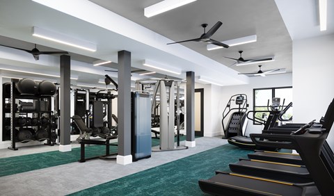 A gym with treadmills, weights, and exercise equipment.