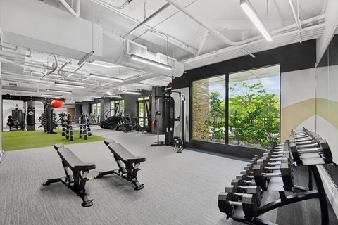 A gym with a row of benches and a row of weights.