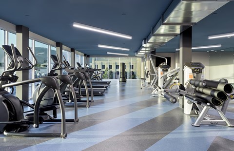 Gym with cardio and weights