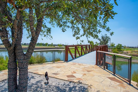 a deck with a tree and a bridge over a body of water