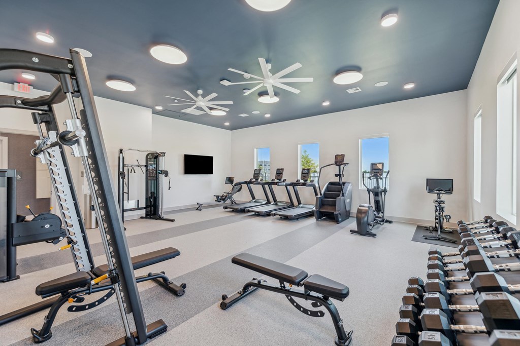 a gym with weights and cardio machines and a tv