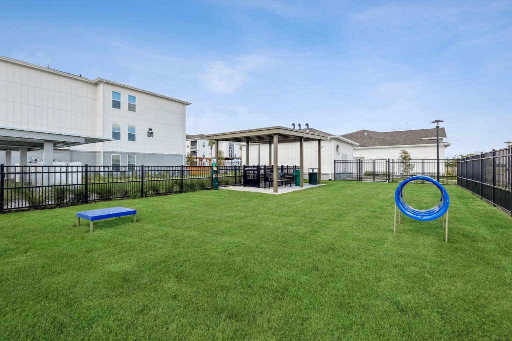 a yard with a blue frisbee in the grass