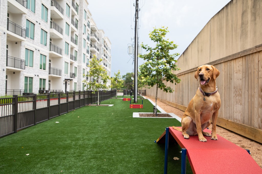 a dog sitting on a red bench in an apartment yard