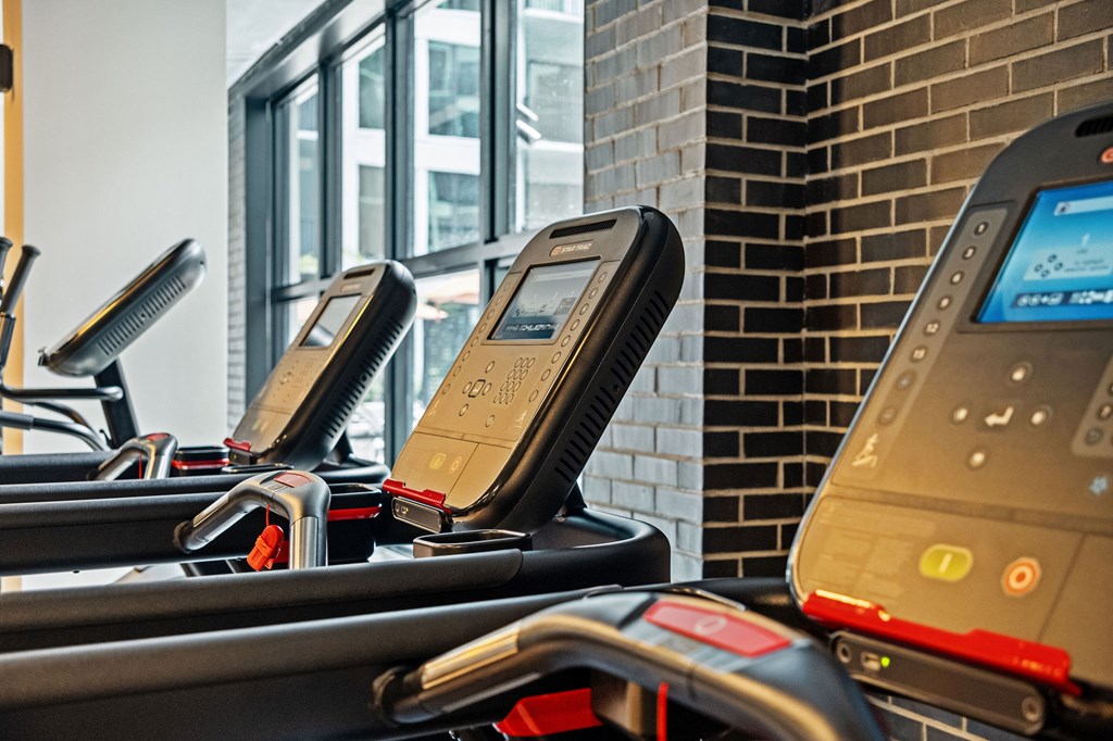 A row of treadmills with digital displays in a gym.