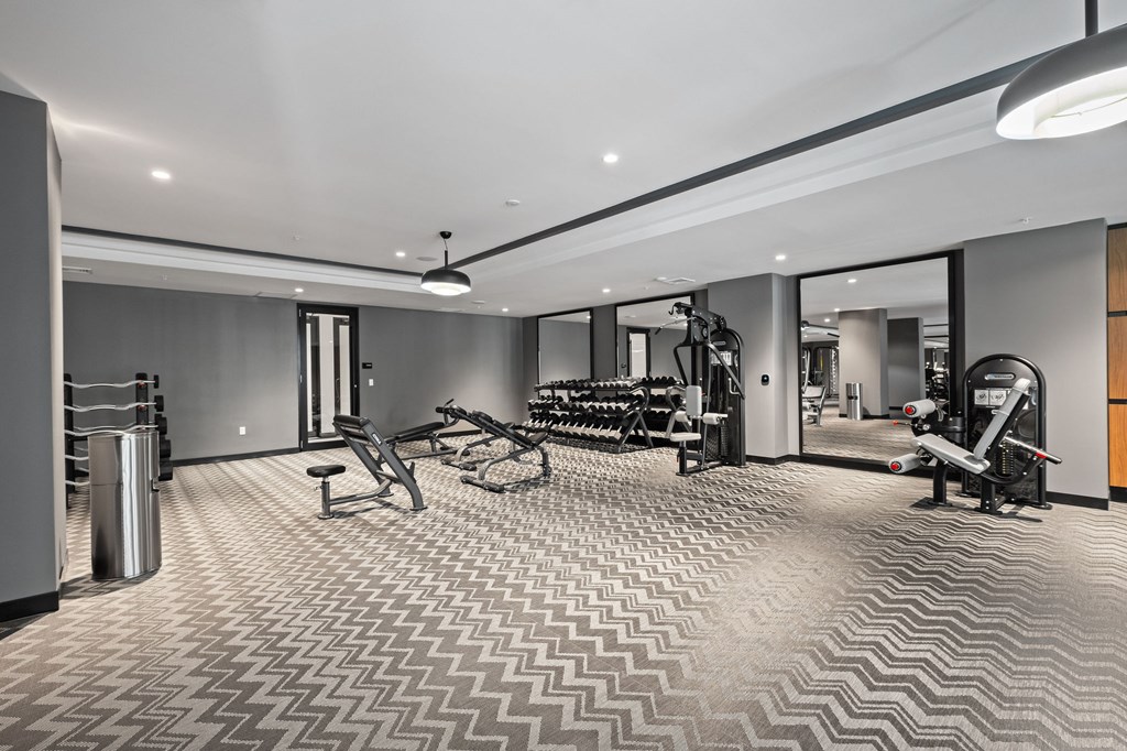 A gym with a variety of equipment including a treadmill, weights, and a bench press.