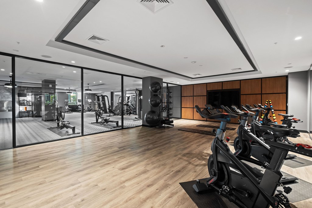 A gym with a row of treadmills and a mirrored wall.