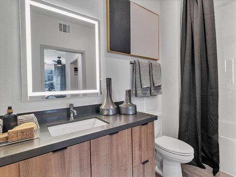 A bathroom with a white toilet, a sink, and a mirror.