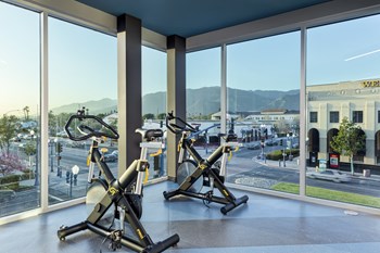 Gym - Photo Gallery 7