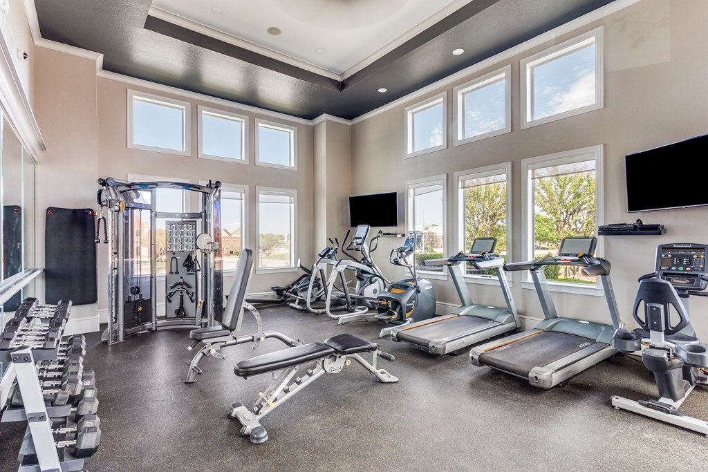 the gym has plenty of cardio equipment and windows