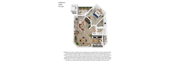 1 bedroom, 1 bathroom 731 square feet