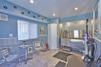 A dog grooming station with a blue wall and a white door.