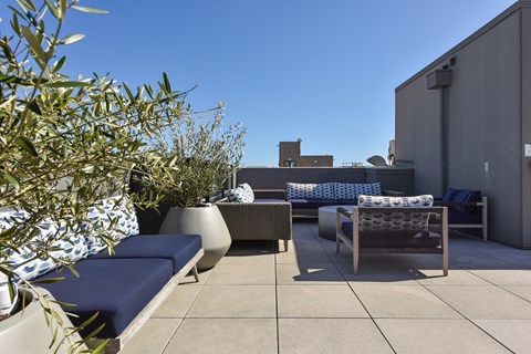 a terrace with blue couches and plants and a blue sky